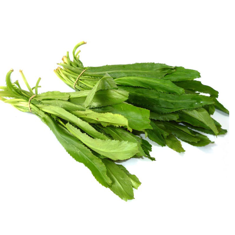 Hạt giống mùi tàu răng cưa